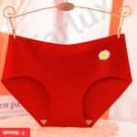 China Imported Ice Silk Seamless Panty - Image 3