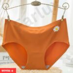 China Imported Ice Silk Seamless Panty - Image 5