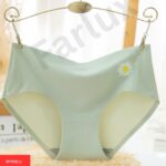 China Imported Ice Silk Seamless Panty - Image 4